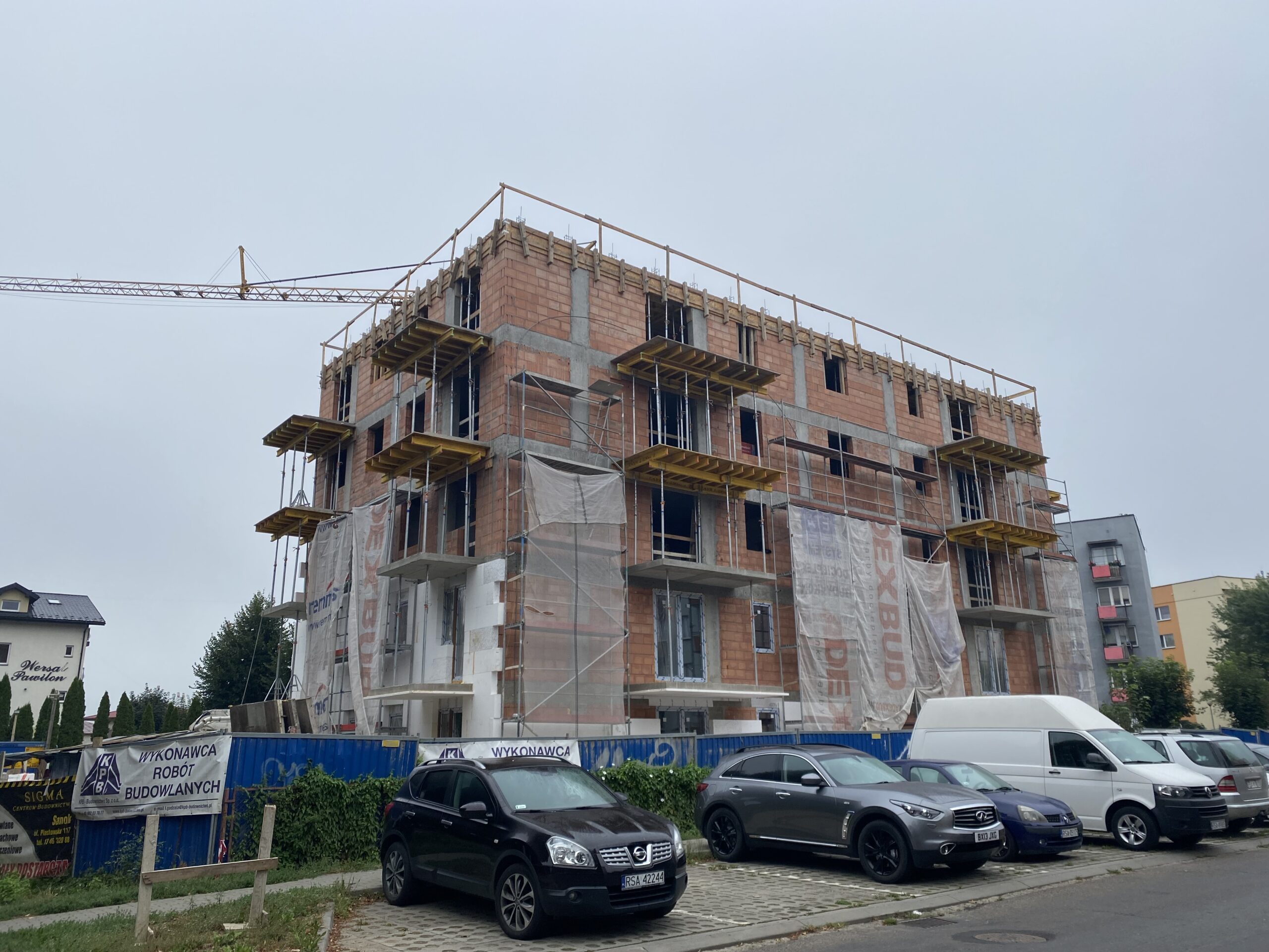 IMG-1561